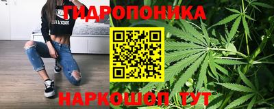 бошки Пугачёв