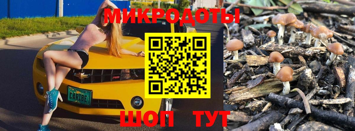 купить закладку  Псилоцибиновые грибы MAGIC MUSHROOMS  Вход с VPN  Белогорск 