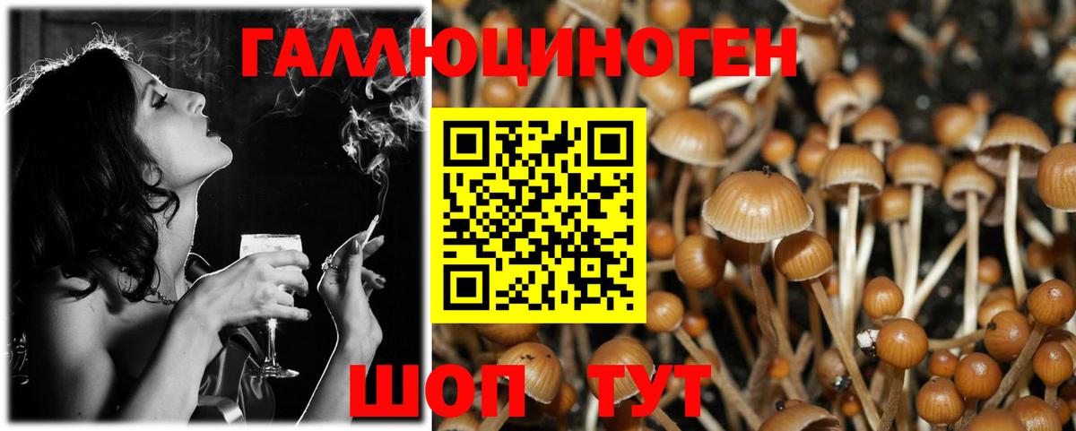 Галлюциногенные грибы MAGIC MUSHROOMS Белогорск
